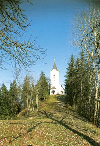 Lisna gora