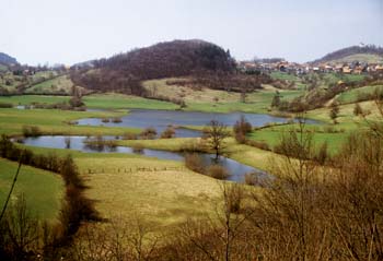 Presersko polje