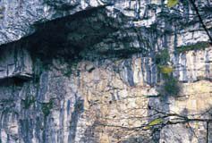 Škocjanske jame - sprehod v ozadju svetovnega slovesa
