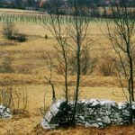 Pliskovica  sprehod v osrčje Krasa