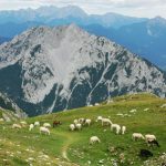 Na najvišjem Stolu Na najvišjem Stolu