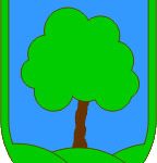 Ravne na Koroškem - grb