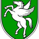 Rogaška Slatina - grb