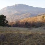 Čaven iz Škol, foto: Miran Rijavec
