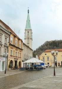 skofije celje stolnica Občina Celje