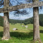 Pokljuka Kranjska dolina