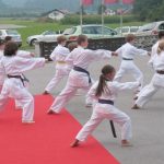blogi_380_Krona_karate_klub_domzale