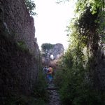 Stari Grad Kamnik ru&scaron;evine