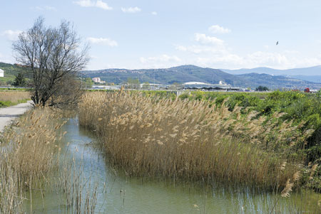 Škocjanski zatok