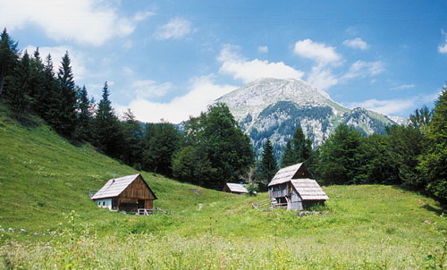 Planina Grintovica (1250 m) Planina Grintovica (1250 m)