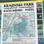 blogi_420_svetlana-321