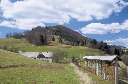 praznik_bevkov_vrh_bevkov_vrh