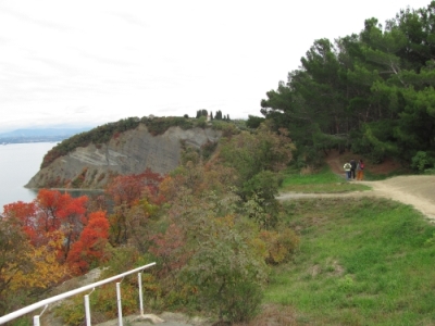 Slovenska Istra blogi 420 strunjan 107 20091109 1502321950 Slovenska Istra