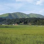 Stolpnik z južne strani
