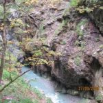 blogi_420_avstrija_102_20091012_1253522621