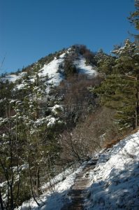 blogi 120 01 Grmada Kam Občina Dobrova - Polhov Gradec
