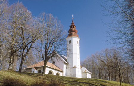 Žeželj