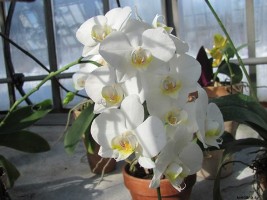 blogi_420__ljubljana-f-062-470×352