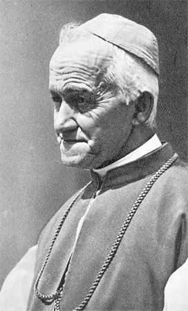 Nadškof dr. Anton Bonaventura Jeglič (1850–1937)
