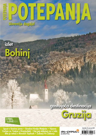 Potepanja, številka 14, januar 2011