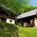 novice_kmetija-slapsak-2