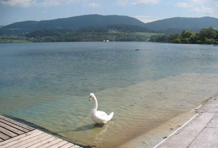 Velenjsko jezero