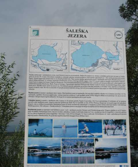 Velenjsko jezero