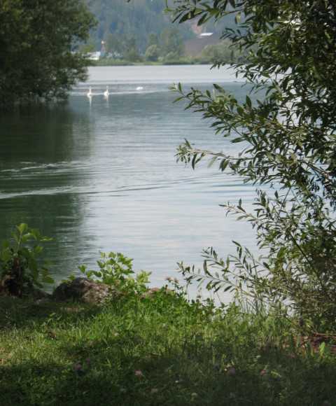 Velenjsko jezero