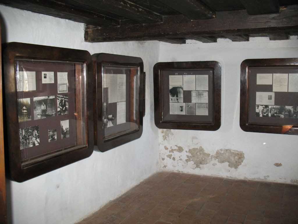 Cimrc z vitrinami
