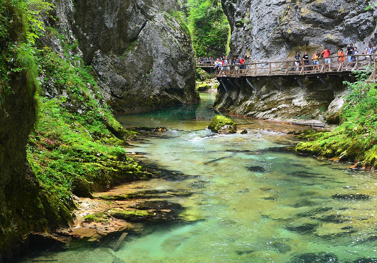 Občina Gorje Lesena brv ob zeleni reki med skalnimi stenami